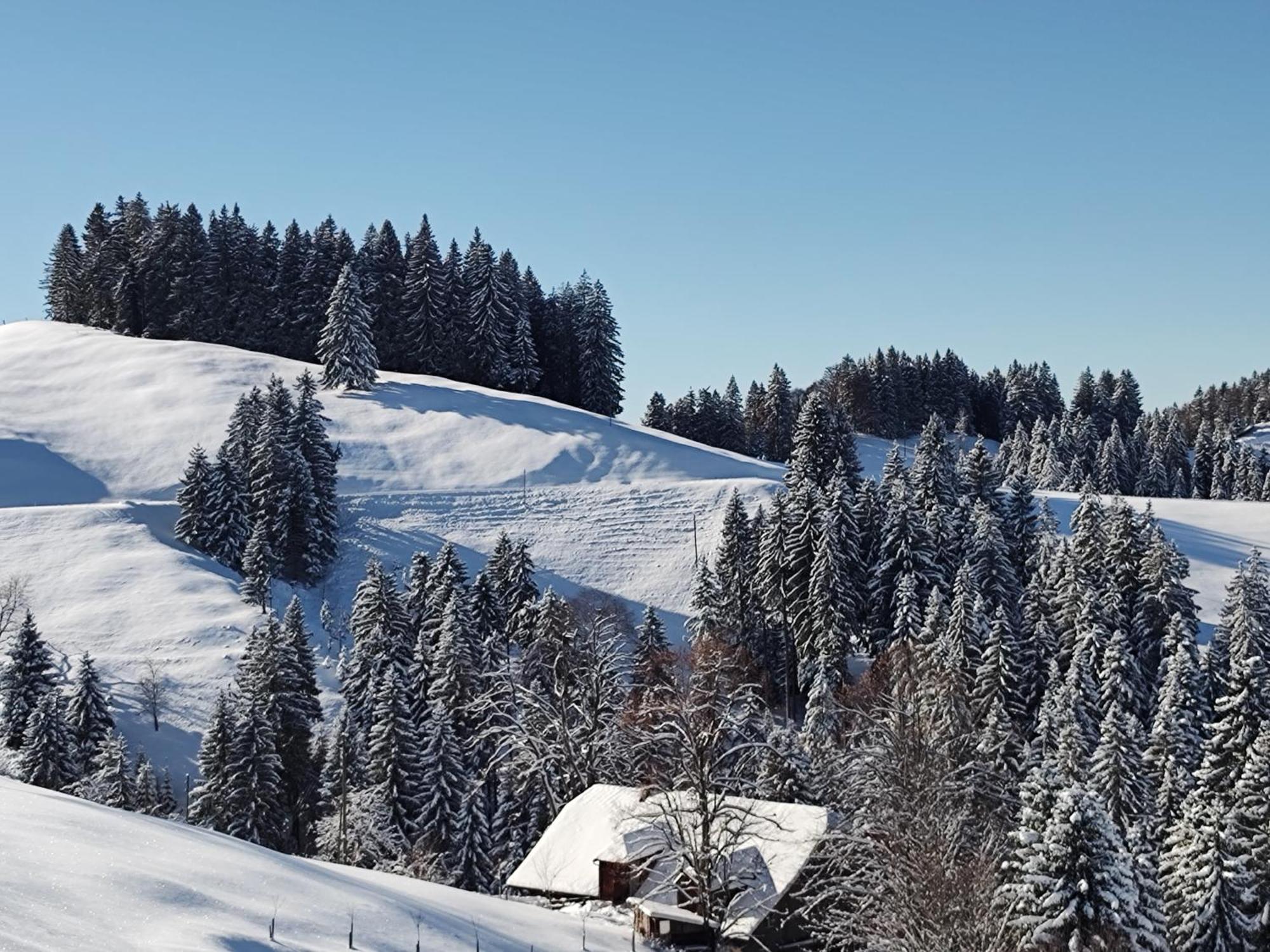 Appartement Panorama